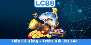 ban-ca-xeng
